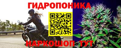 прущий лед Бийск