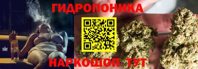 apvp Беслан