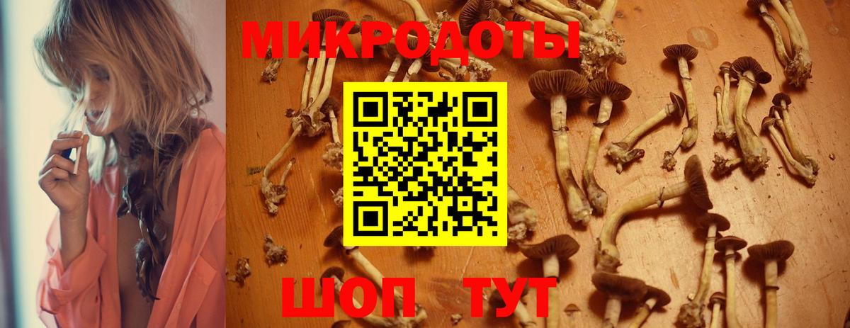 Псилоцибиновые грибы прущие грибы  Псилоцибиновые грибы Psilocybe  Вход с VPN  Каменск-Уральский 
